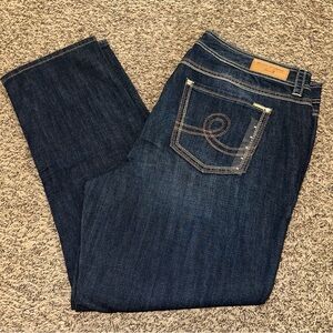 Melissa McCarthy Seven Dark Indigo Straight Cut Jeans